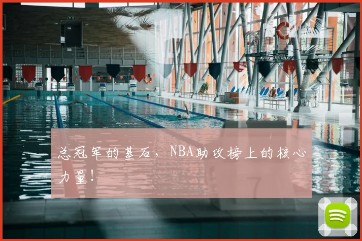 总冠军的基石,NBA助攻榜上的核心力量!