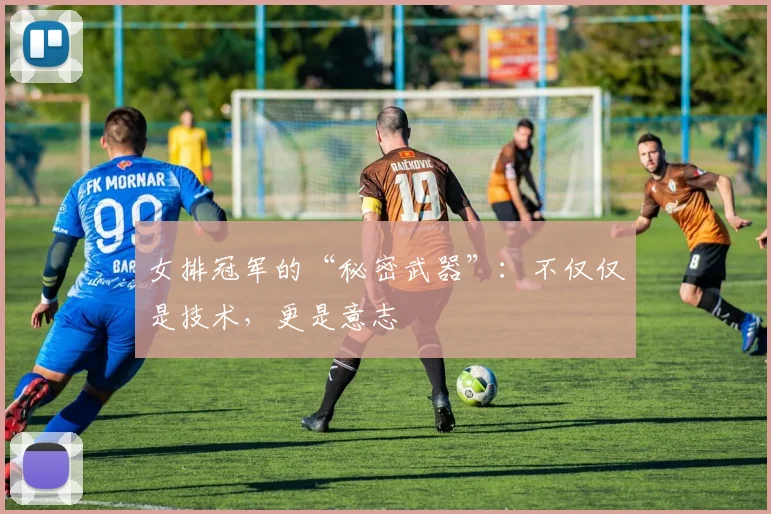女排冠军的“秘密武器”:不仅仅是技术,更是意志