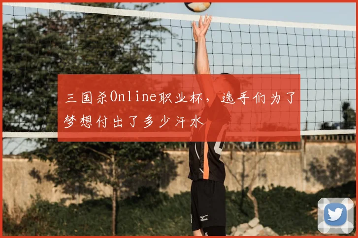 三国杀Online职业杯，选手们为了梦想付出了多少汗水