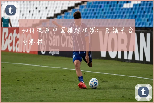 如何观看中国排球联赛：直播平台与赛程