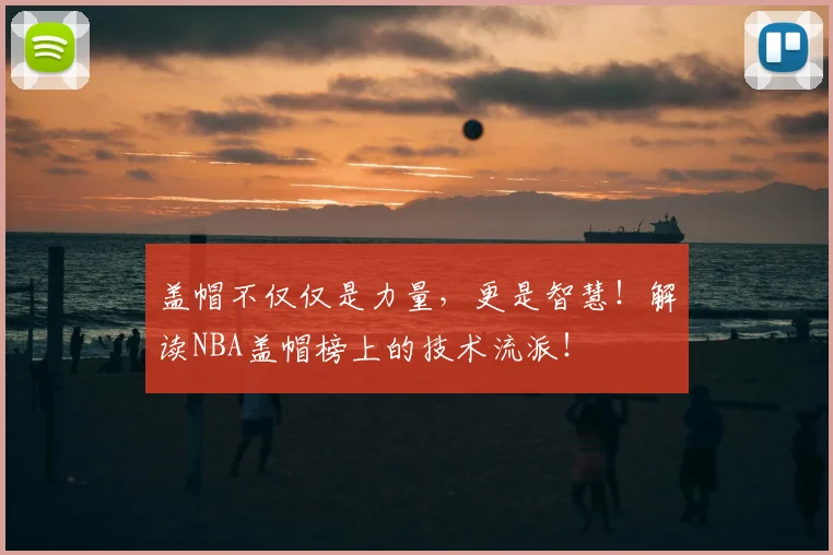 盖帽不仅仅是力量，更是智慧！解读NBA盖帽榜上的技术流派！